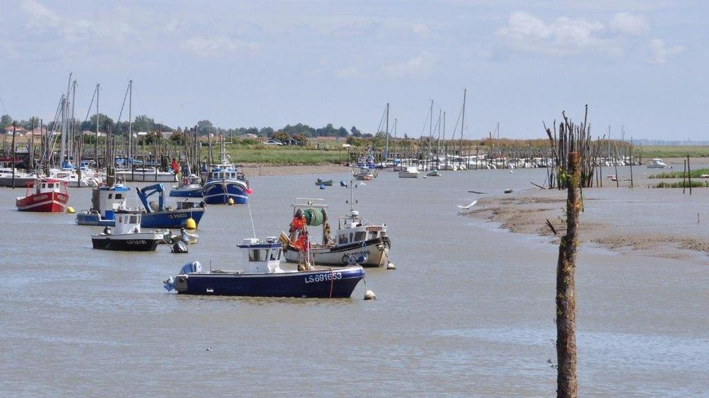 Maison Sud Vendee LʼAiguillon-sur-Mer المظهر الخارجي الصورة